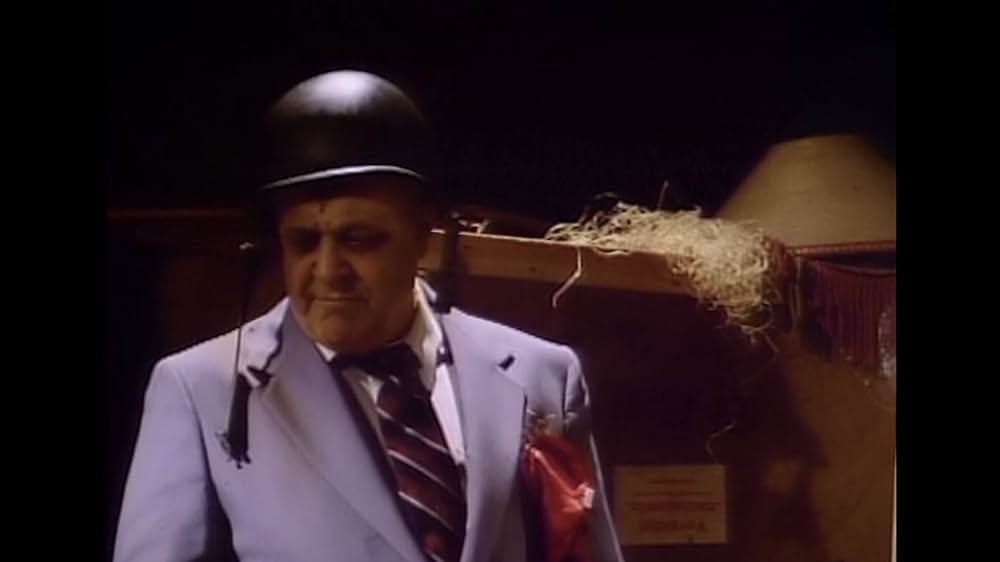 ファンランドの画像