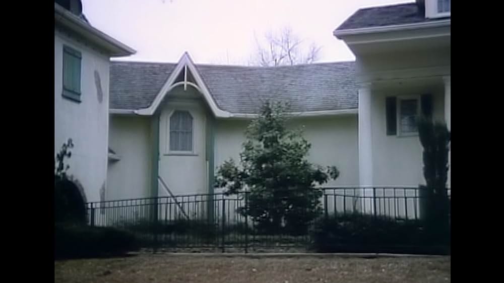 ファンランドの画像