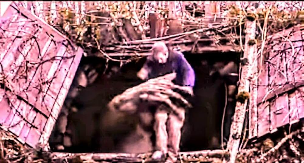 インクレディブルの画像