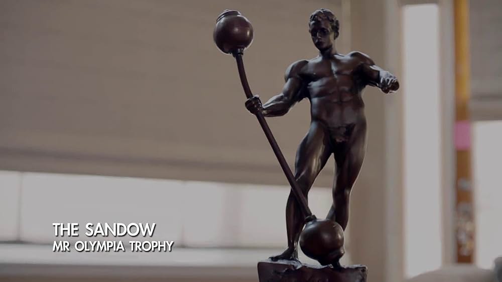 ジェネレーション・アイアンの画像