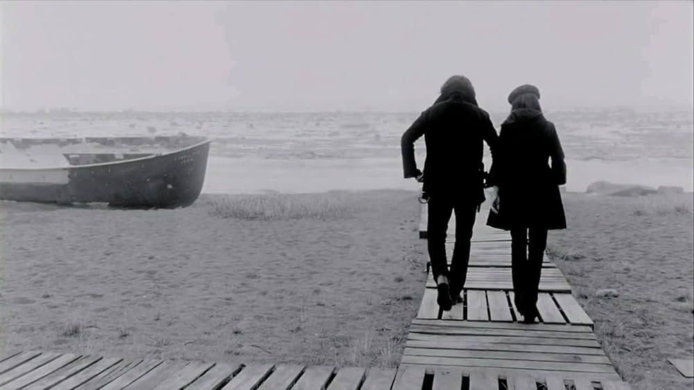 「The white stripes: Under great white northern lights（原題）」の画像