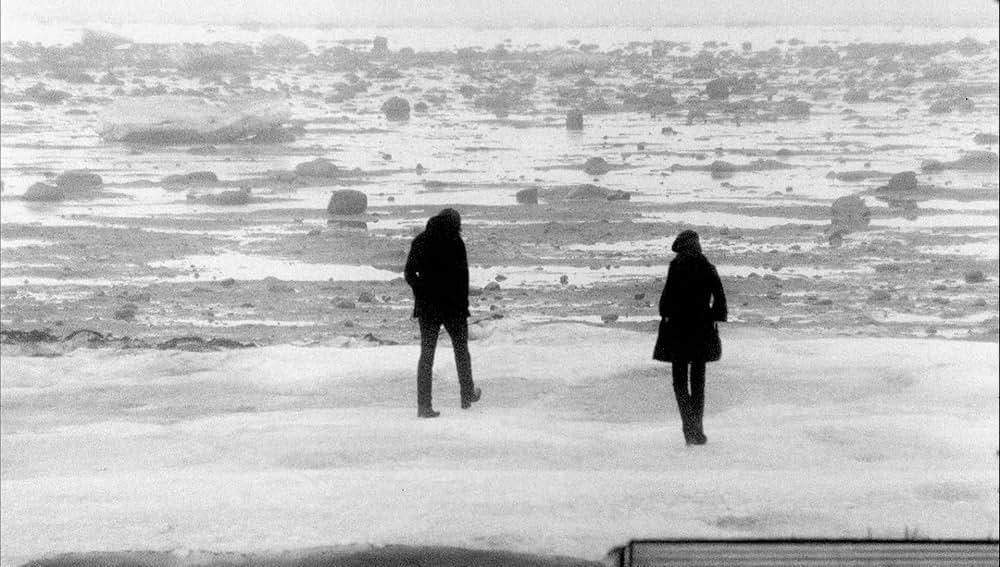 「The white stripes: Under great white northern lights（原題）」の画像