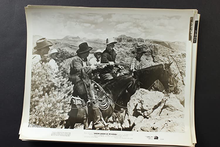 ワイオミングの緑草の画像