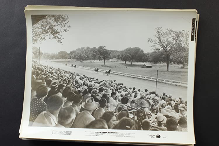 ワイオミングの緑草の画像