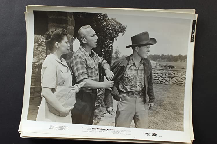 ワイオミングの緑草の画像