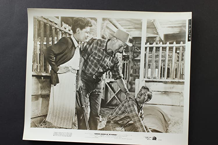 ワイオミングの緑草の画像