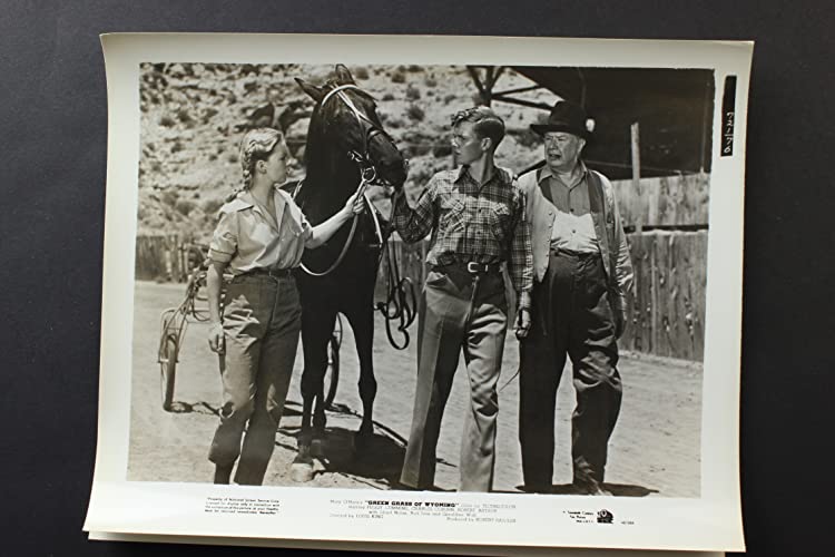 ワイオミングの緑草の画像