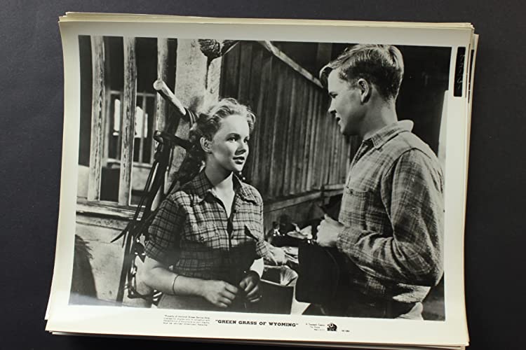 ワイオミングの緑草の画像