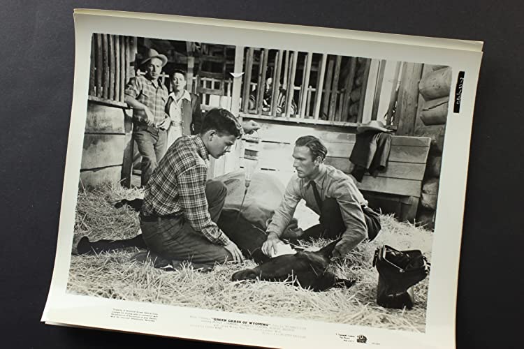 ワイオミングの緑草の画像