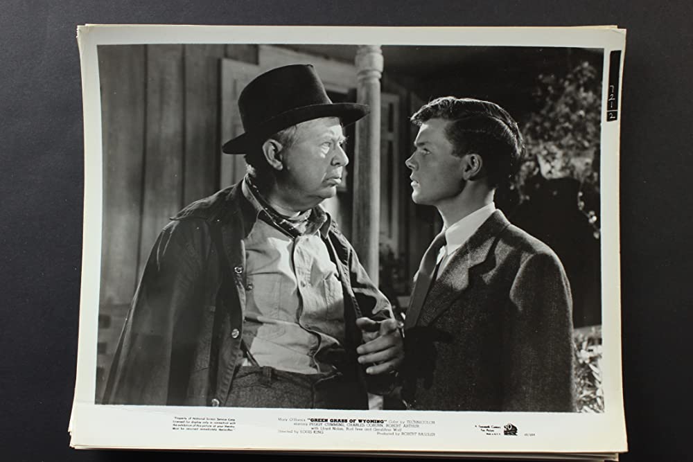 ワイオミングの緑草の画像