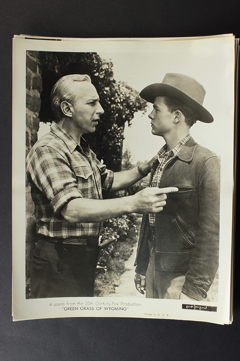 ワイオミングの緑草の画像