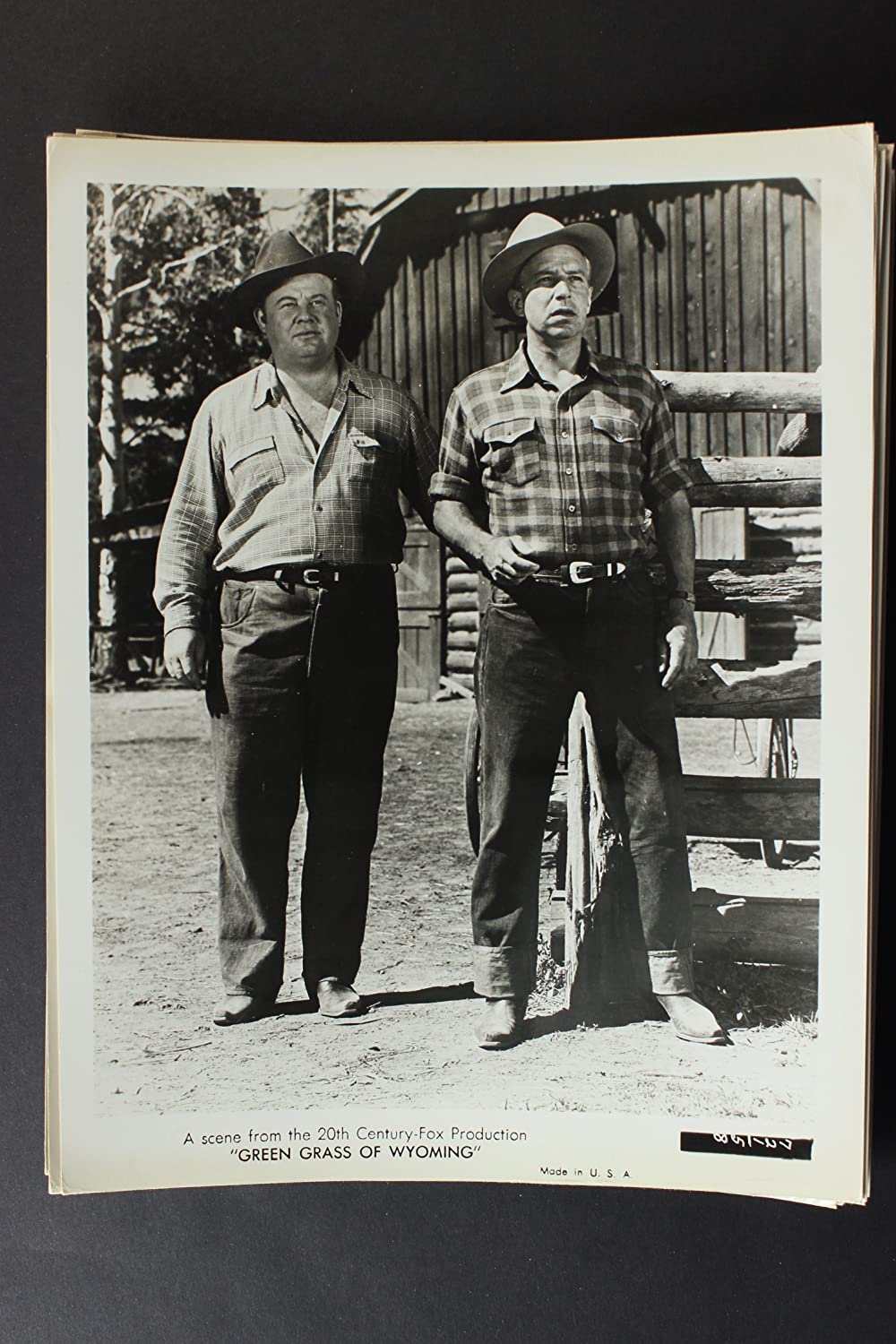 ワイオミングの緑草の画像