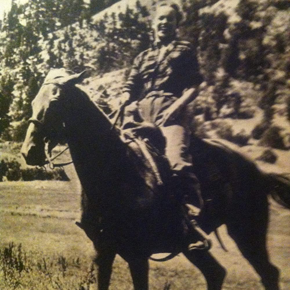 ワイオミングの緑草の画像