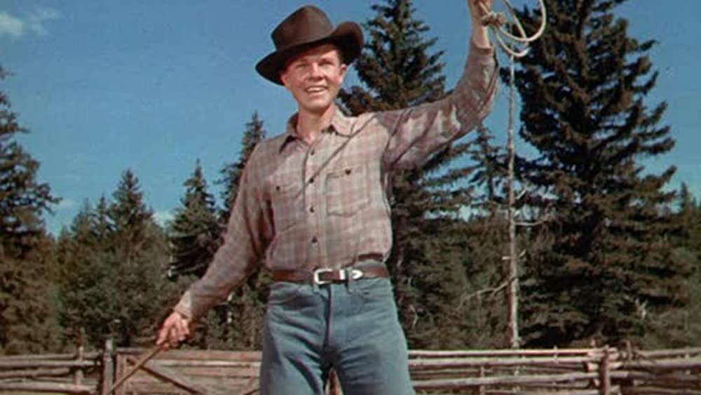 ワイオミングの緑草の画像