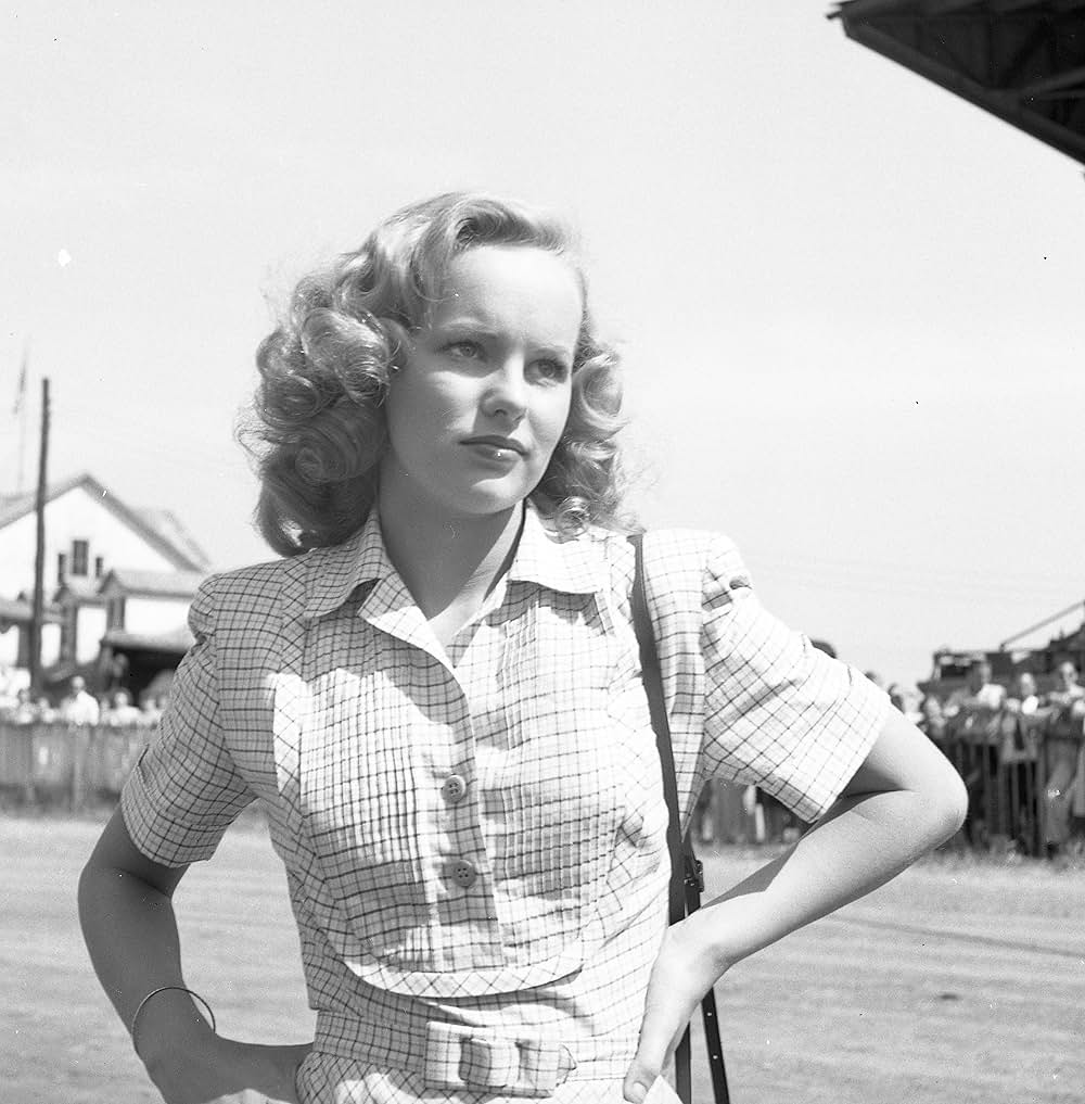 ワイオミングの緑草の画像