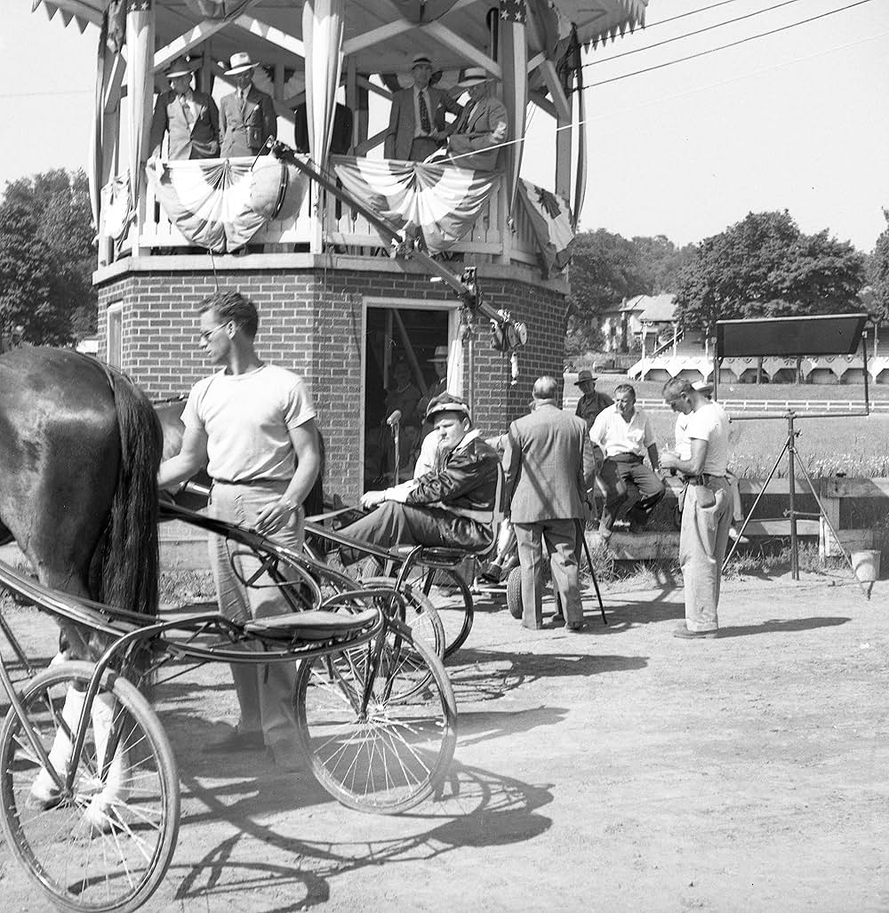 ワイオミングの緑草の画像