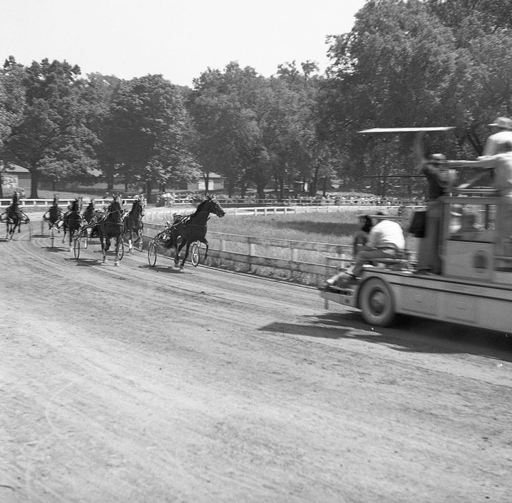 ワイオミングの緑草の画像