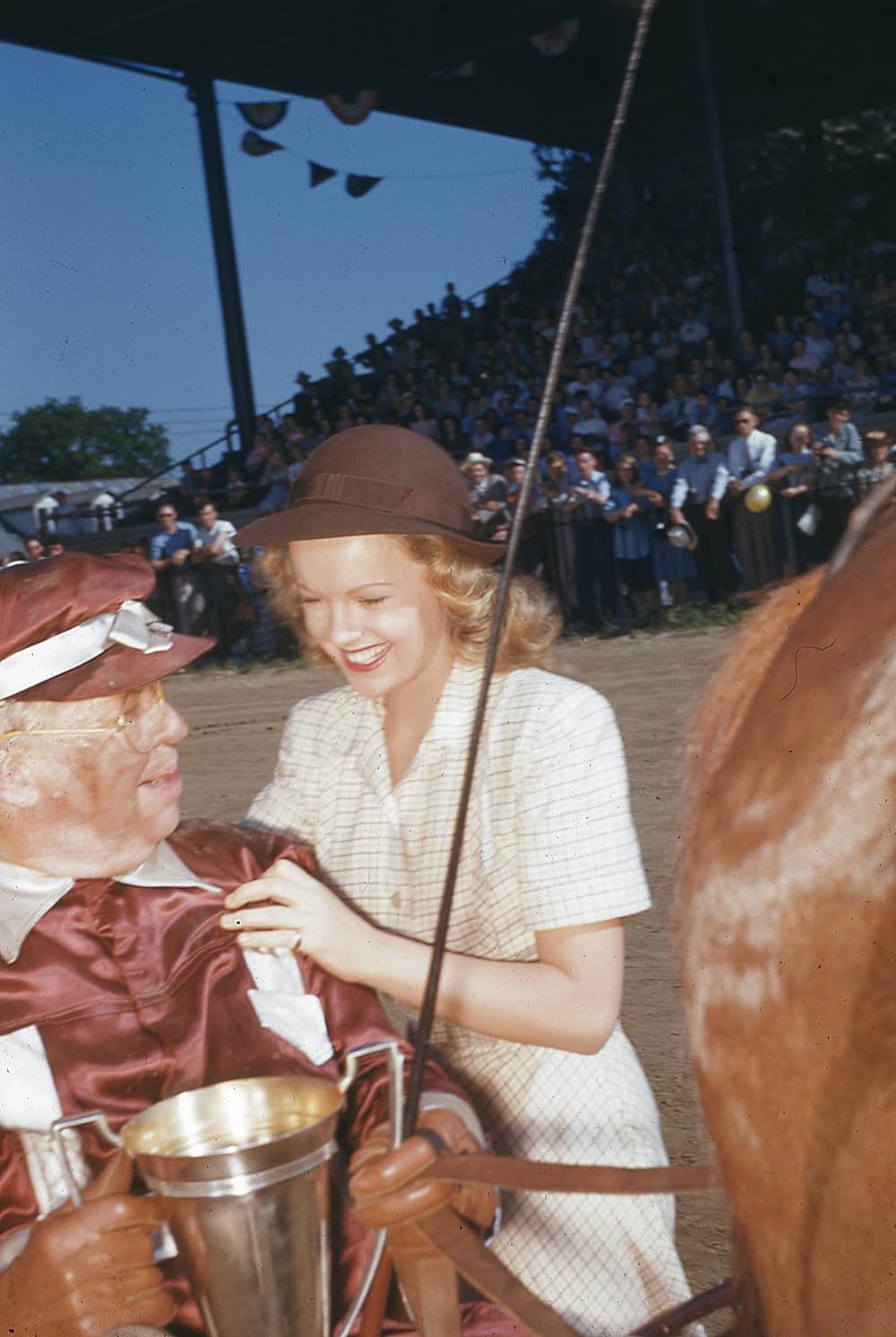 ワイオミングの緑草の画像