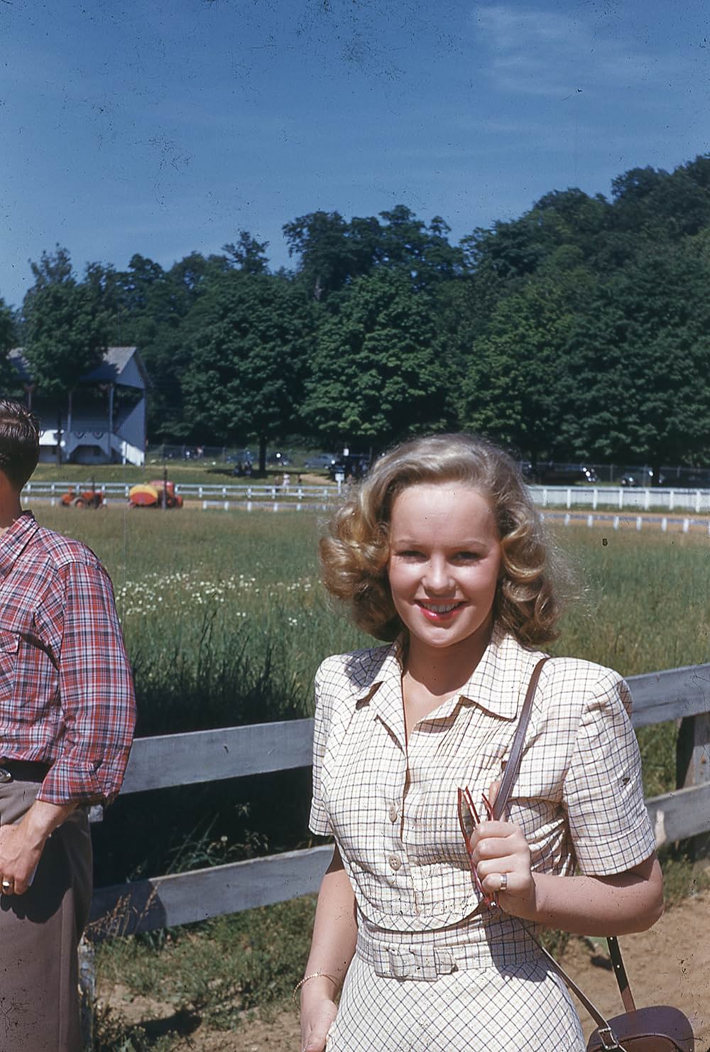 ワイオミングの緑草の画像