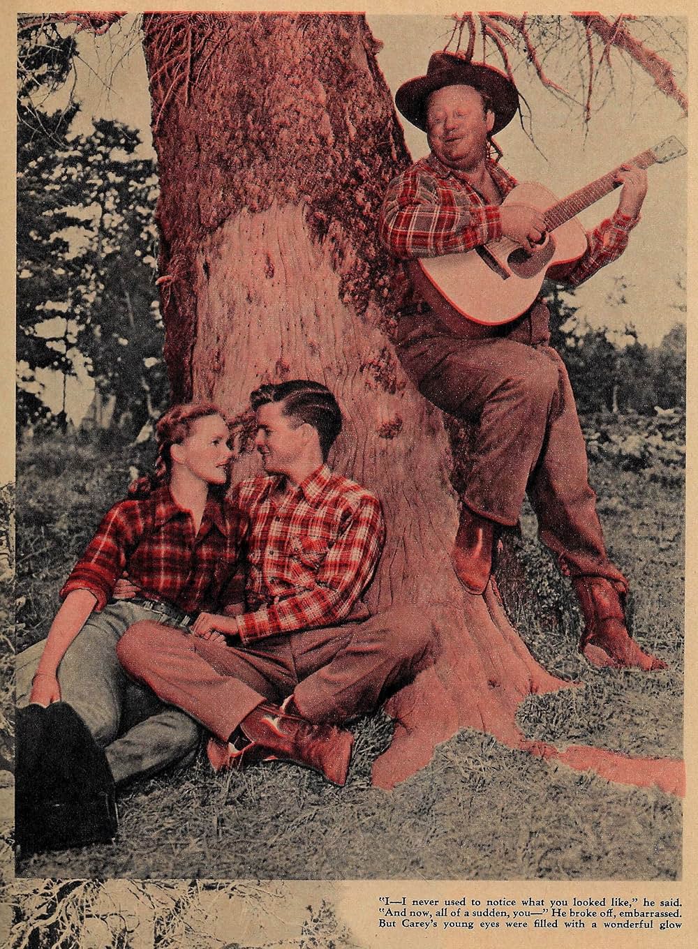 ワイオミングの緑草の画像