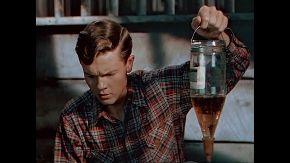 ワイオミングの緑草の画像