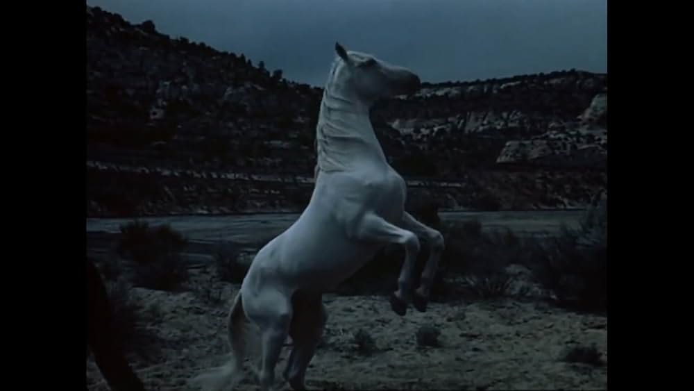 ワイオミングの緑草の画像