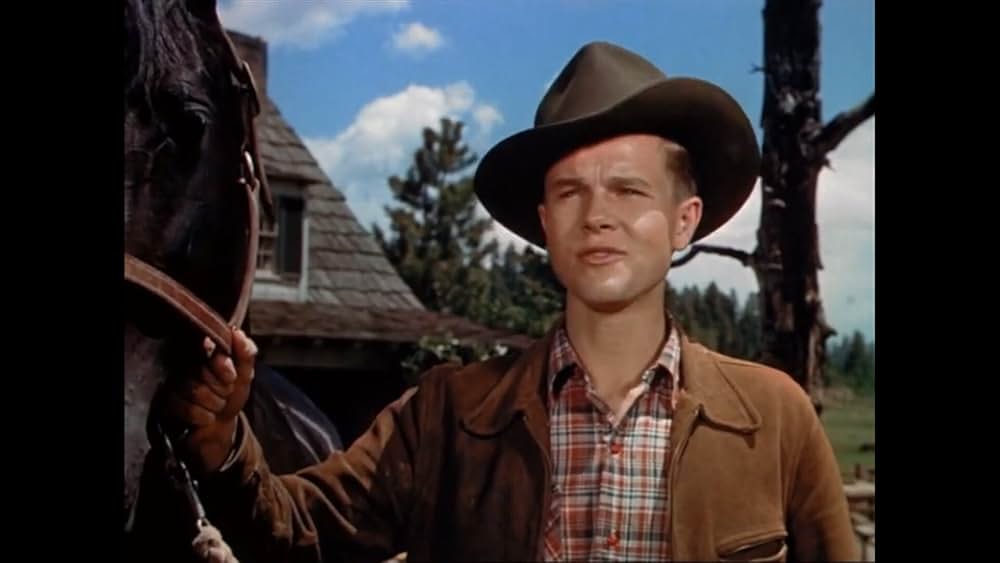 ワイオミングの緑草の画像