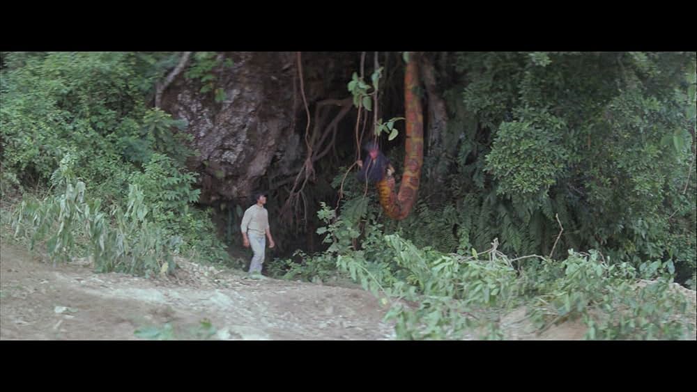 エロチック・スネーク・ストーリーの画像