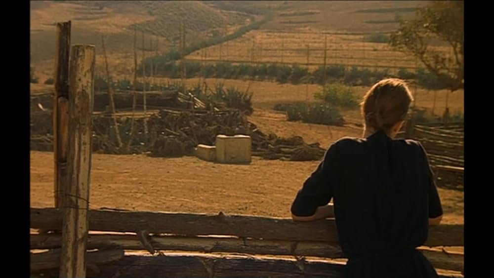 熱砂の情事の画像