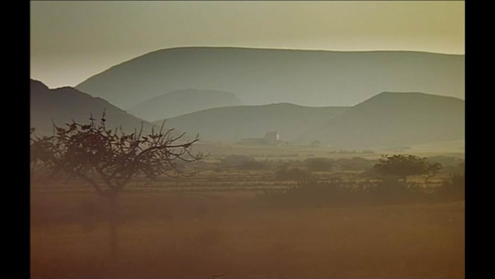 熱砂の情事の画像
