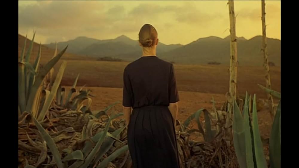 熱砂の情事の画像