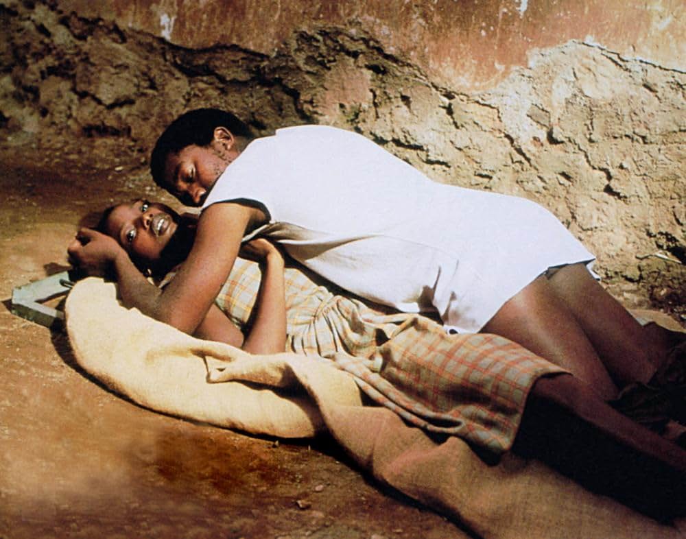 熱砂の情事の画像