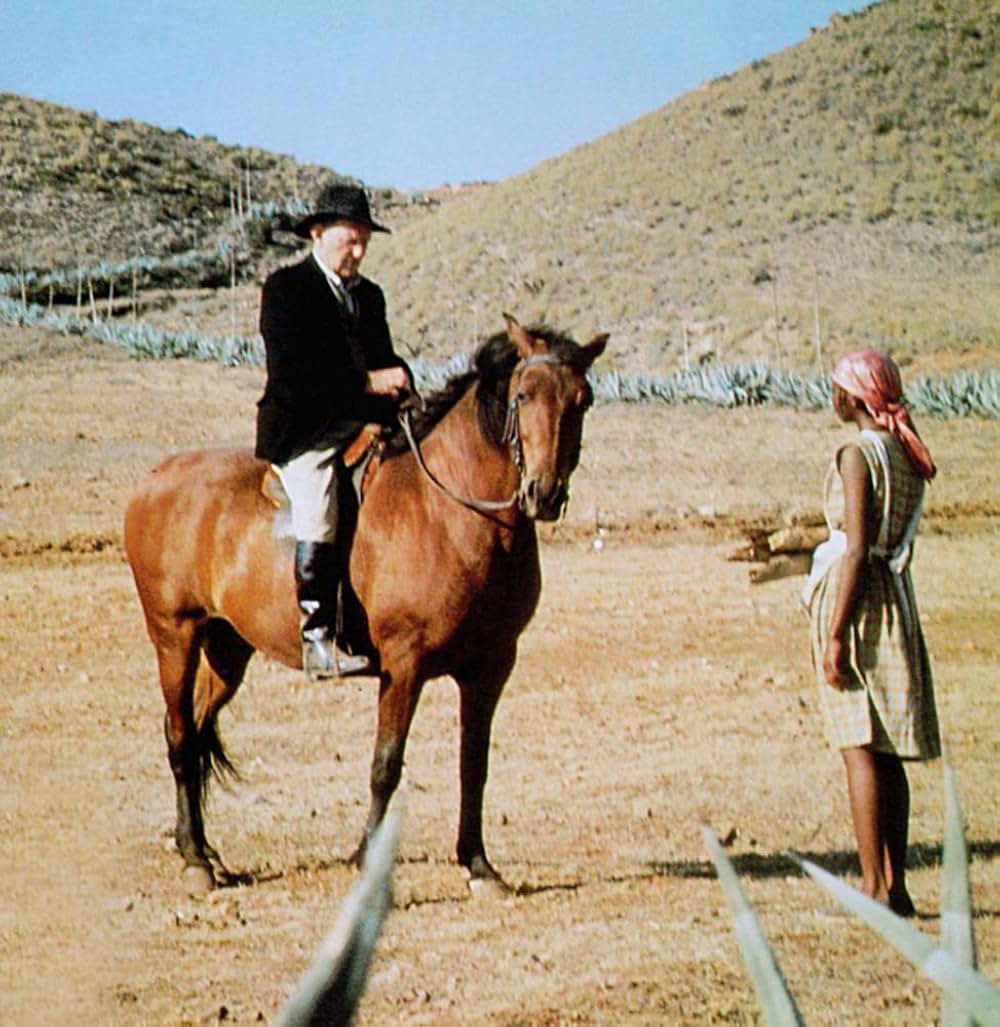 熱砂の情事の画像