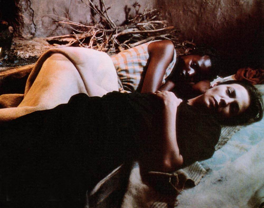 熱砂の情事の画像