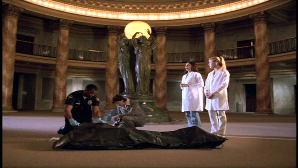 ヴィシャスの画像