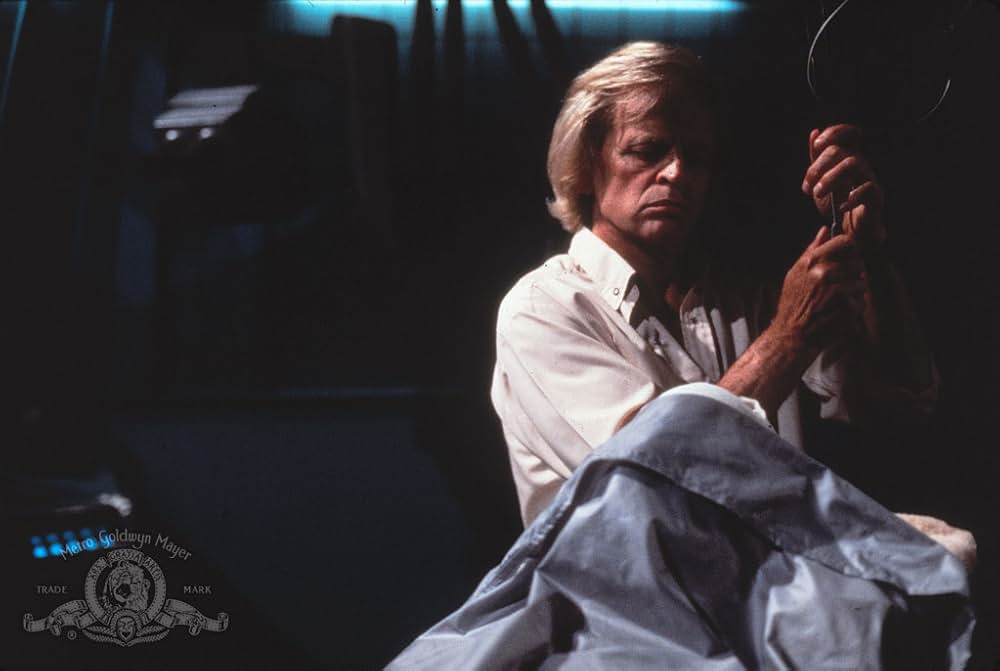 アンドロイドの画像