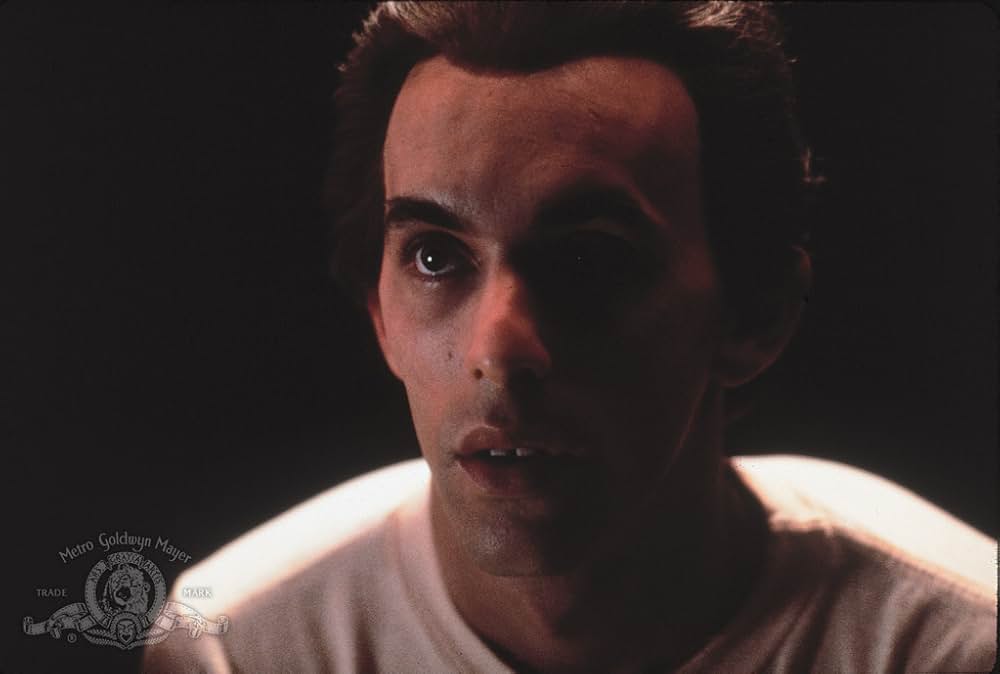 アンドロイドの画像