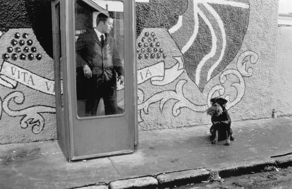 ピース・ピープルの画像