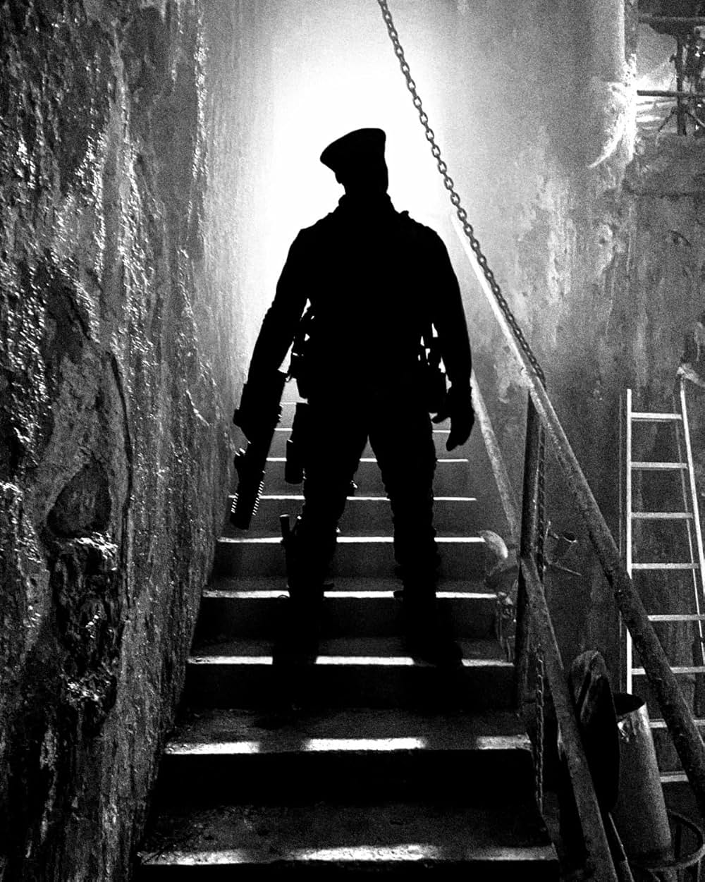 ボーダーランズの画像