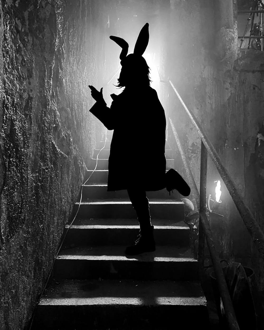 ボーダーランズの画像