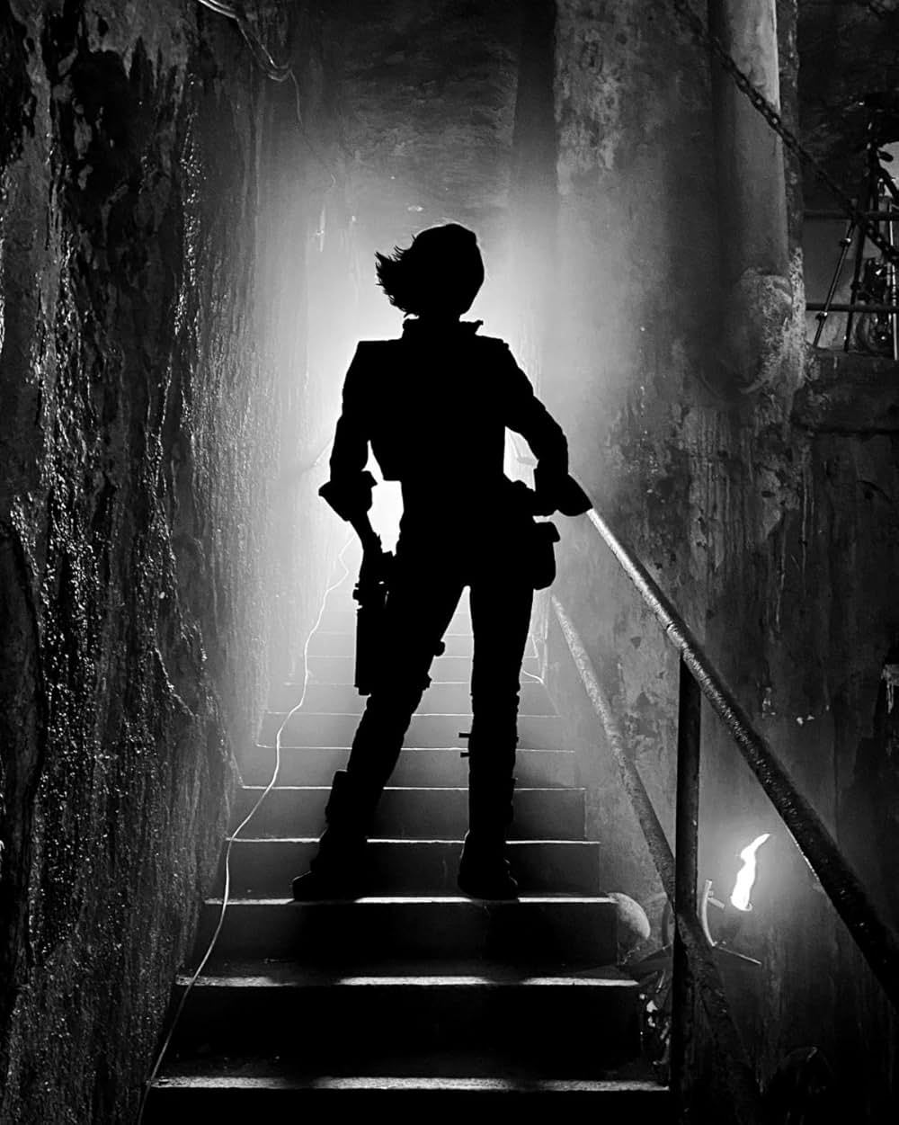 ボーダーランズの画像