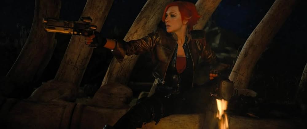 ボーダーランズの画像