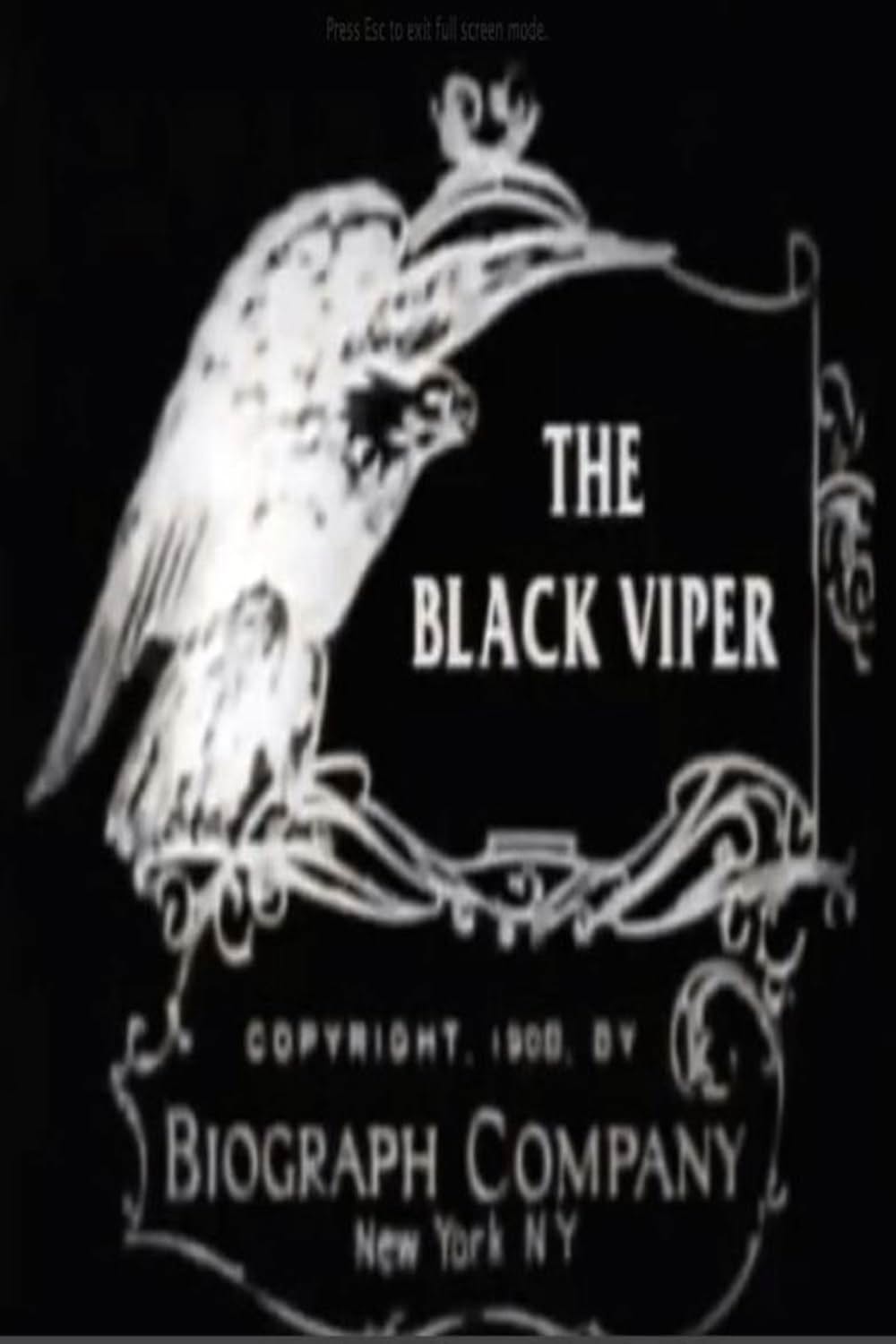 The Black Viper（原題）の写真