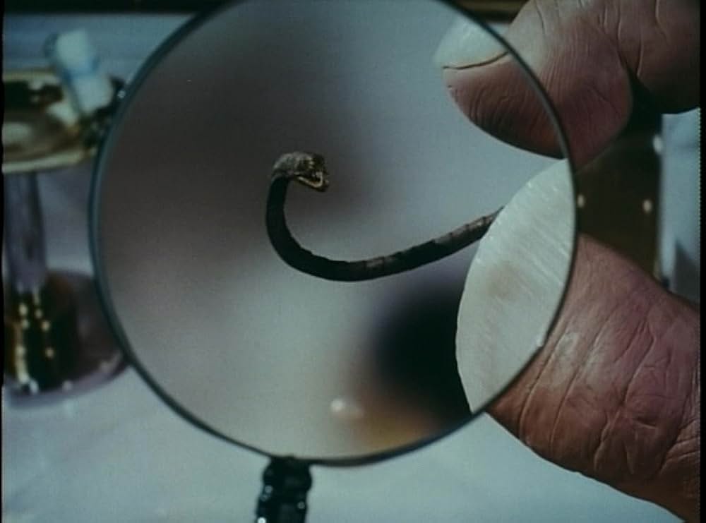 ボディ・バッグスの画像