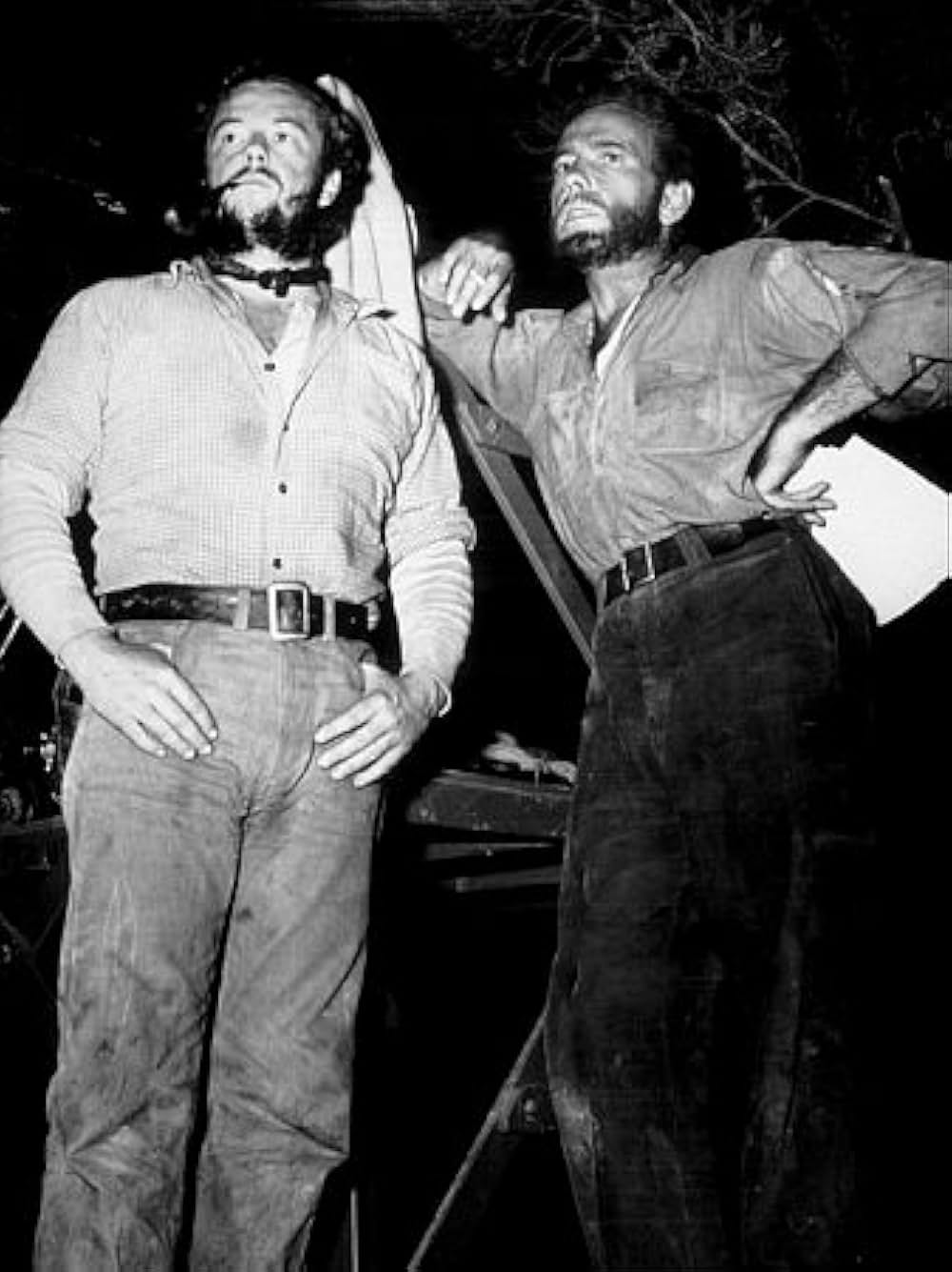 「黄金」の画像