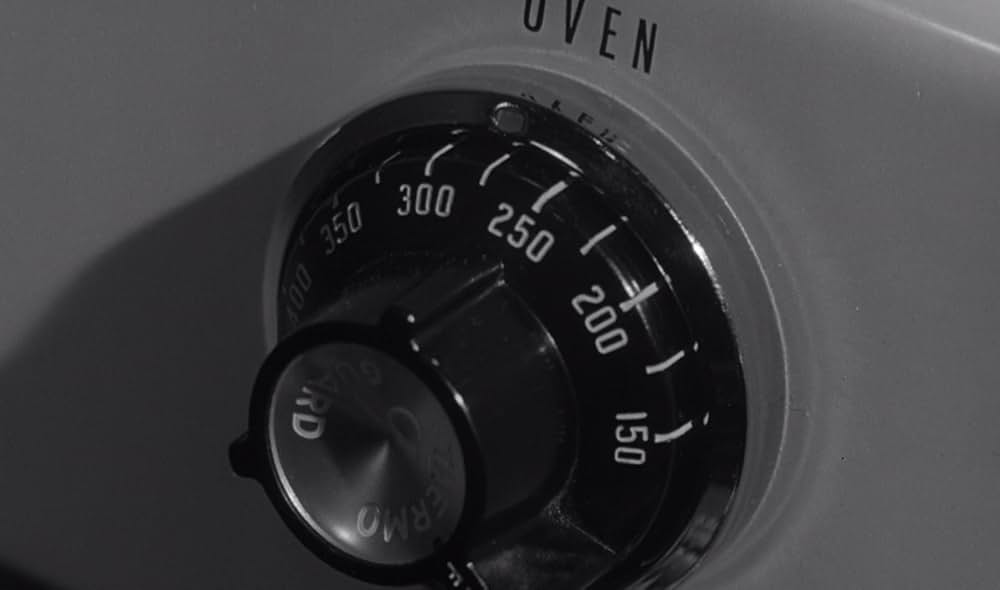 宇宙から来た女の画像