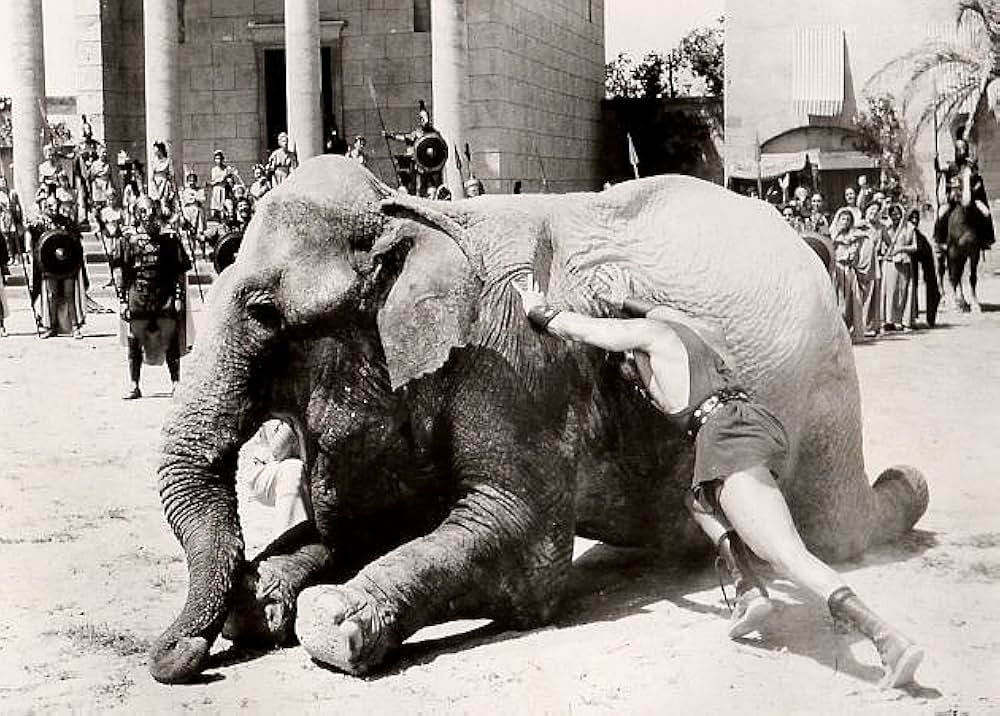 豪勇ゴライアスの画像