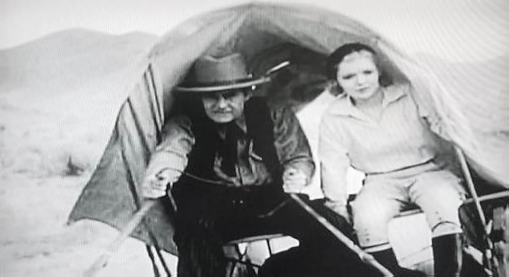 スター・パッカーの画像