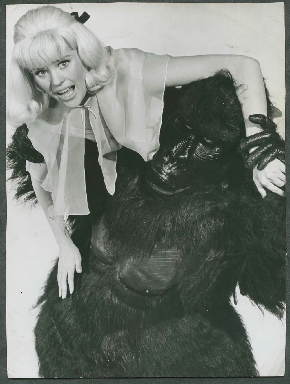 ポーリンの大冒険の画像