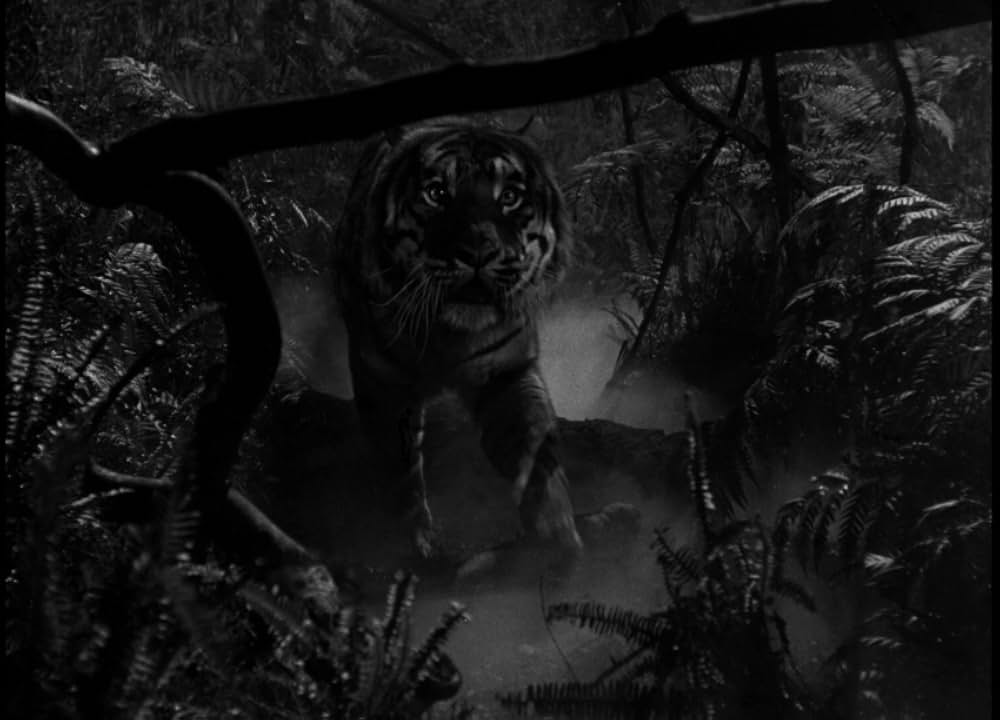 クマオンの人喰虎の画像